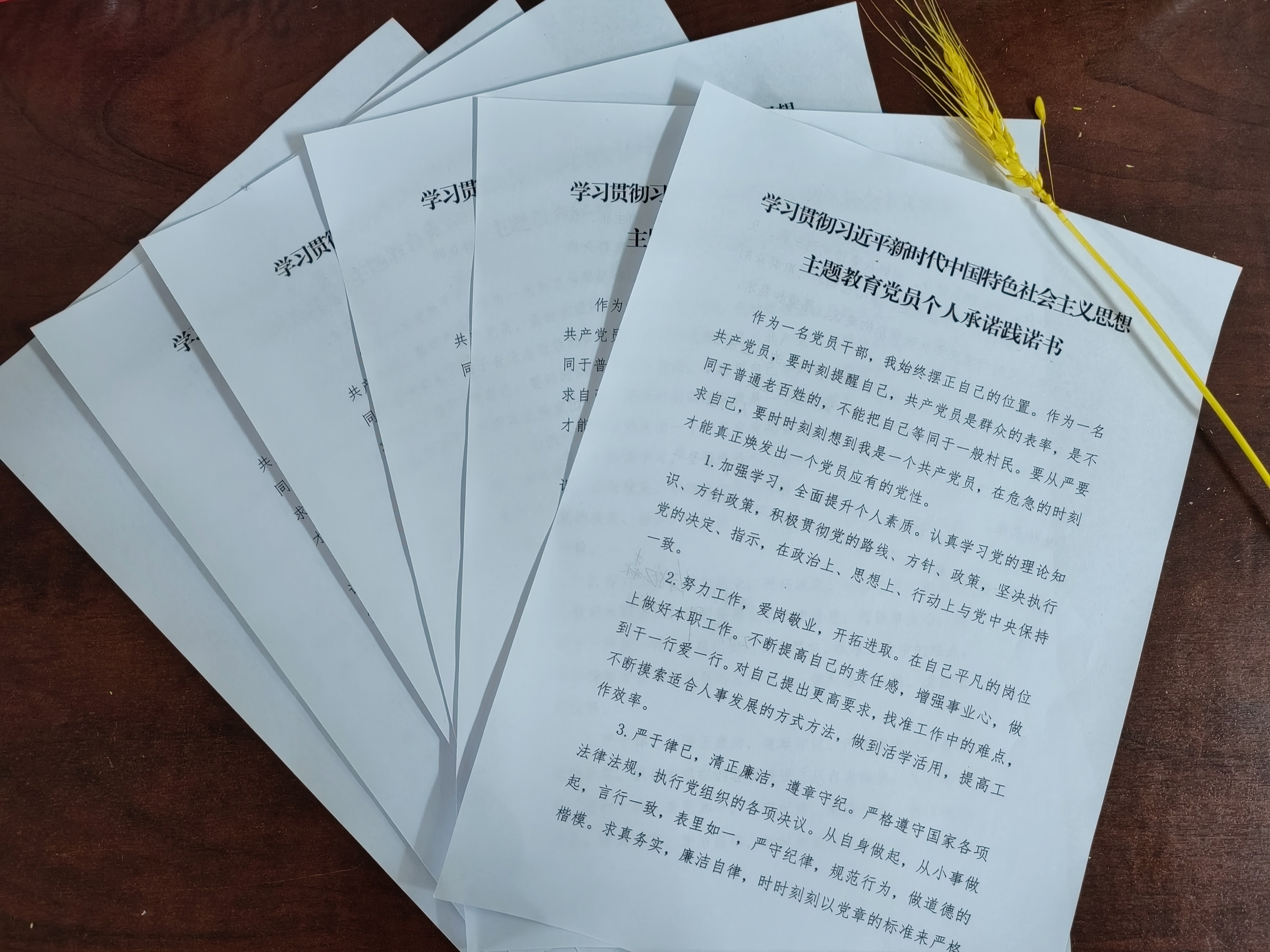 微信图片_20231229095557.jpg