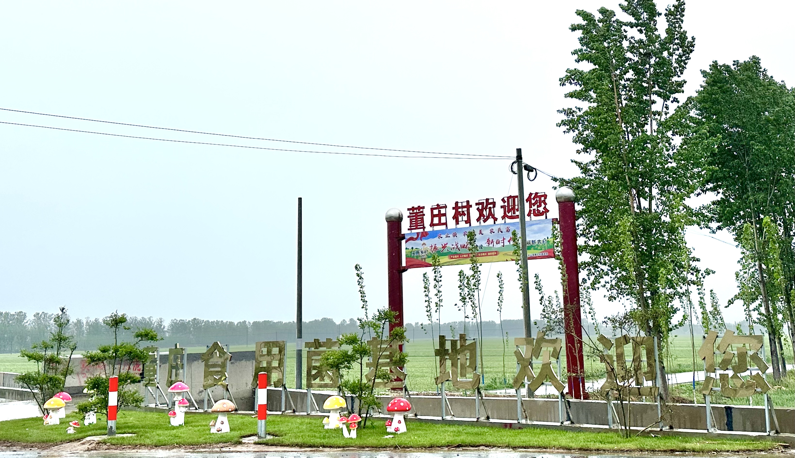 微信图片_20230423130441.jpg