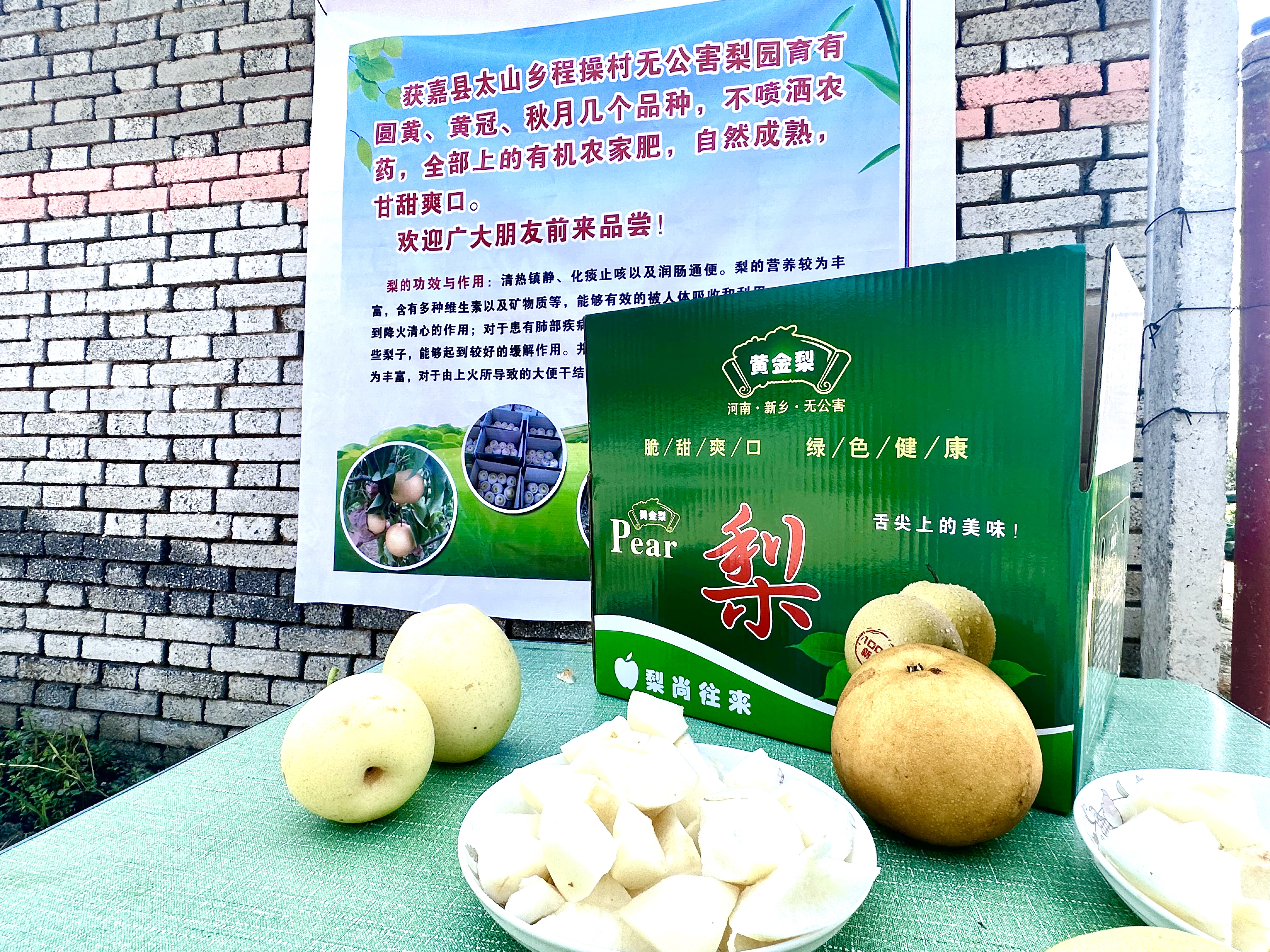 微信图片_20230905091529.jpg