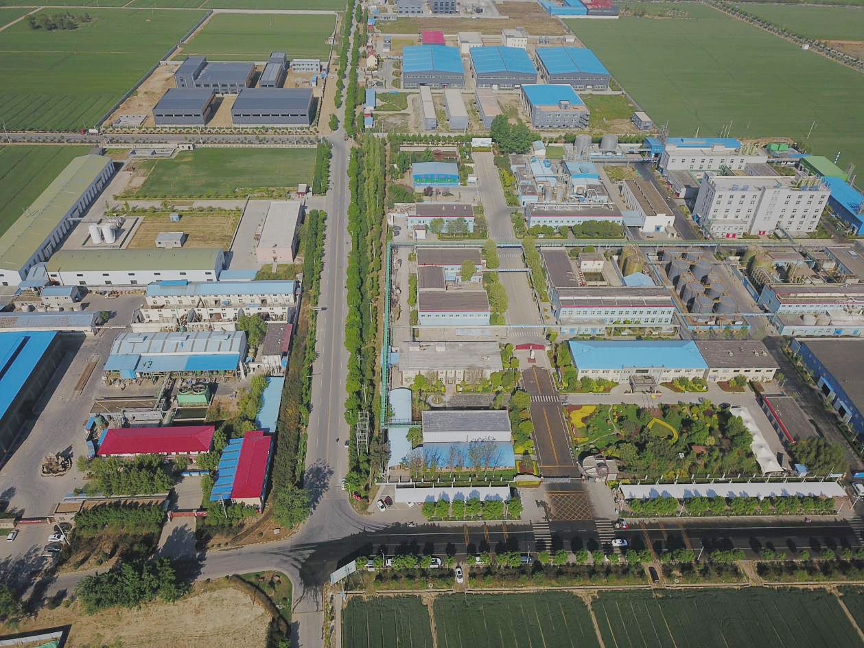 园区鸟瞰图(1).jpg