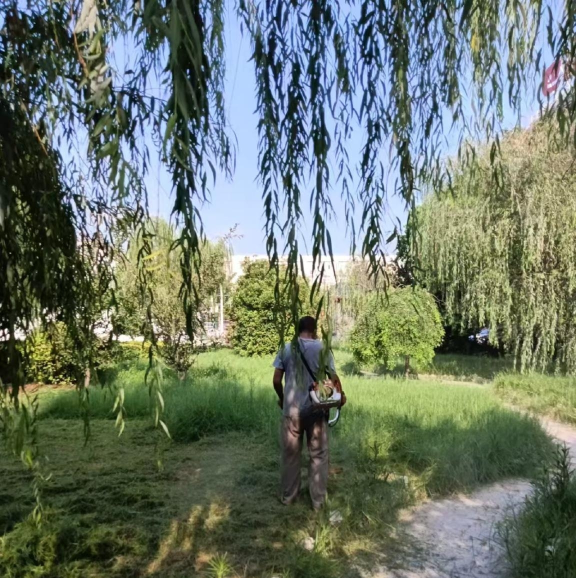 图片3.jpg