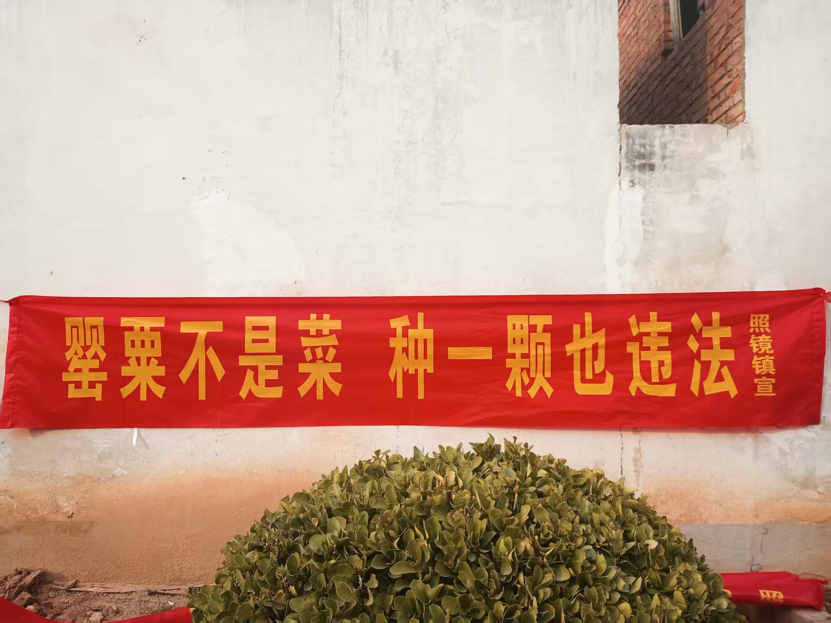 微信图片_20250219085833.jpg