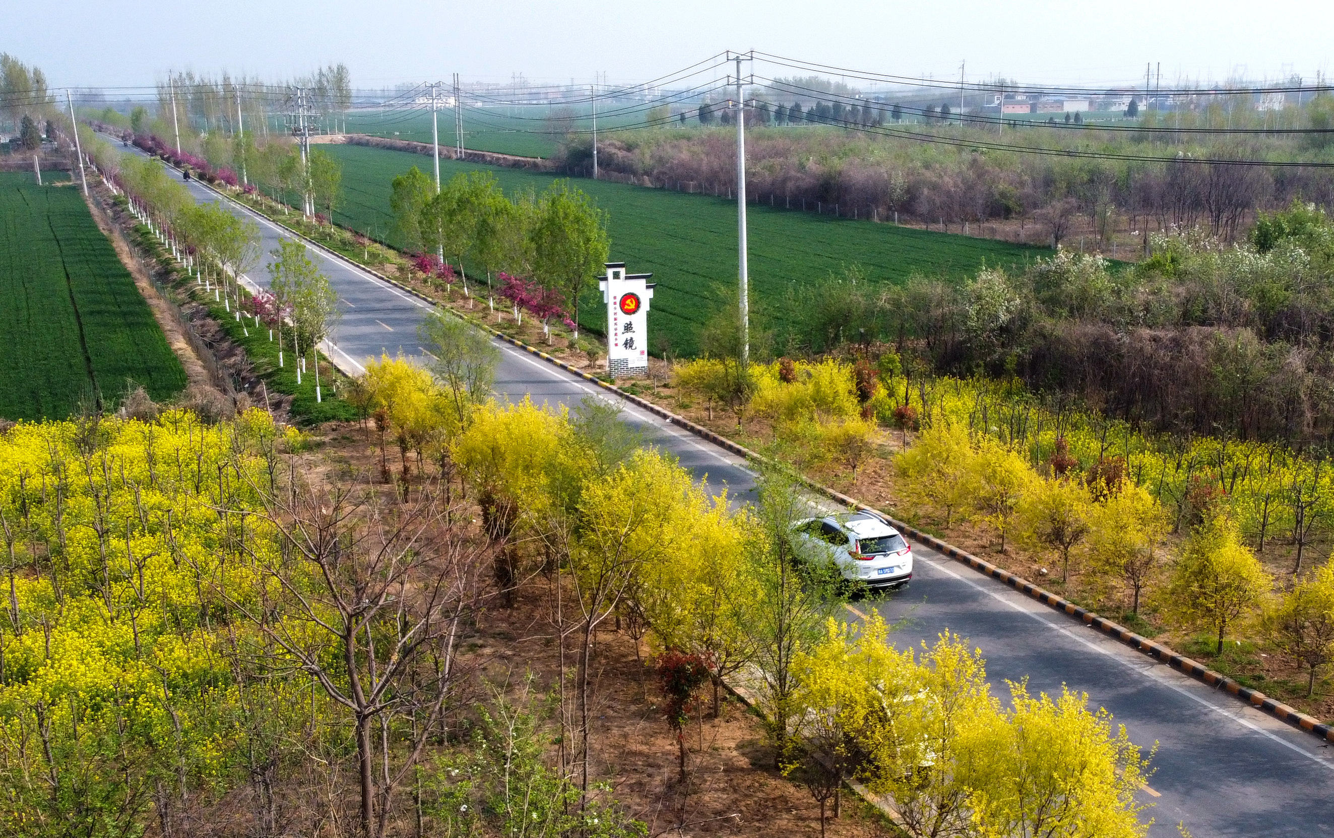 DJI_0282_选.jpg