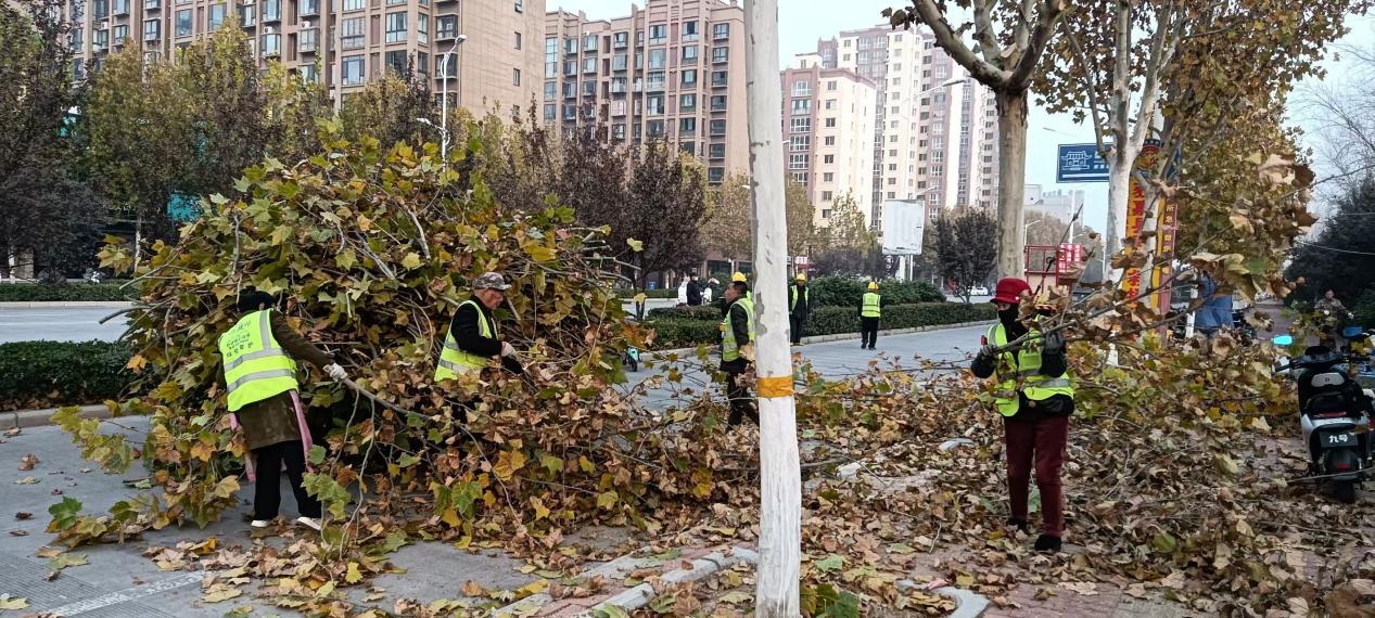 图片14.jpg
